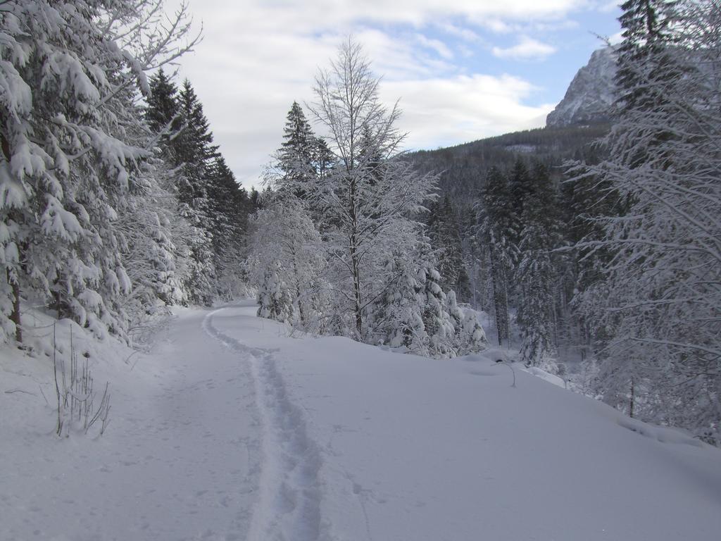 Ferienwohnung Am Roemerweg Wald Inzell Eksteriør bilde