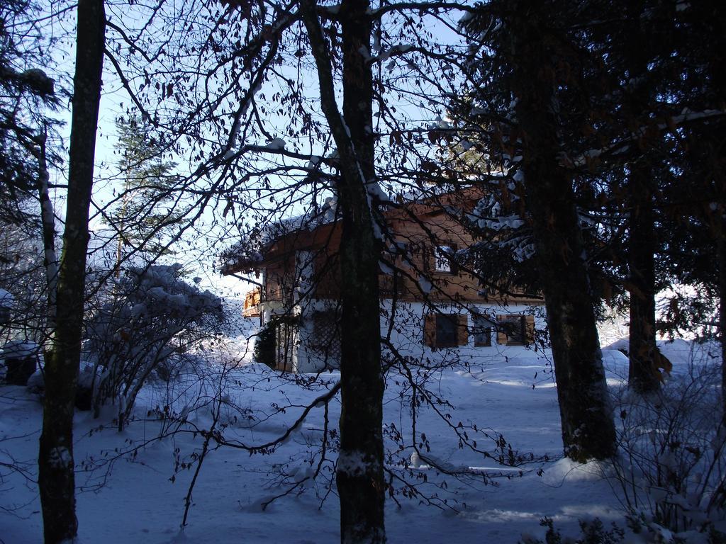 Ferienwohnung Am Roemerweg Wald Inzell Eksteriør bilde